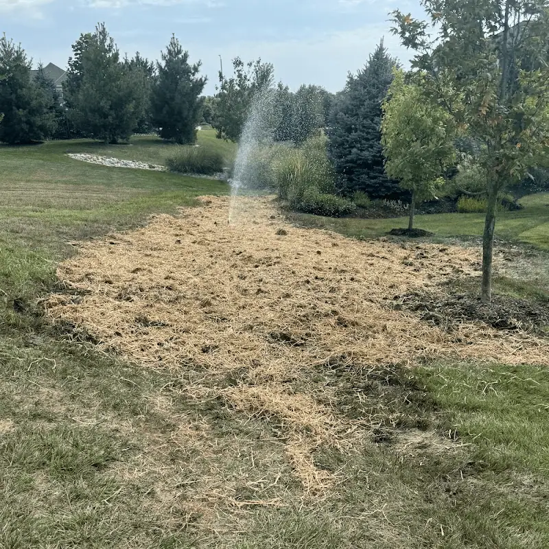 Seed and straw