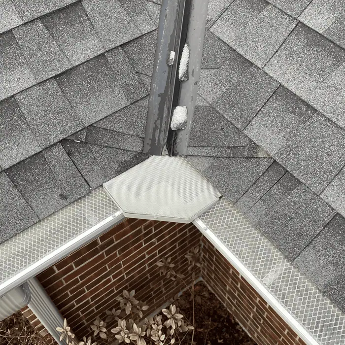 perfect leaf guard system