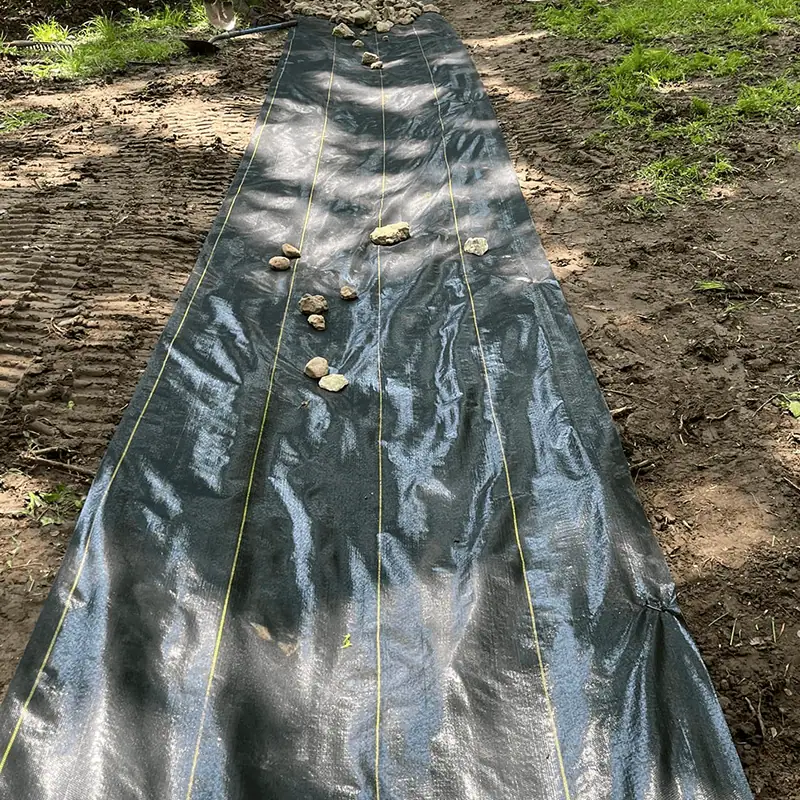 dry creek bed fabric