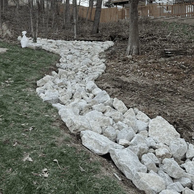 dry creek bed in timber