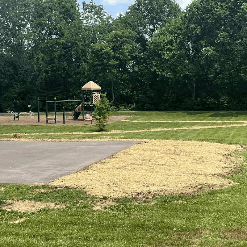 grading near park