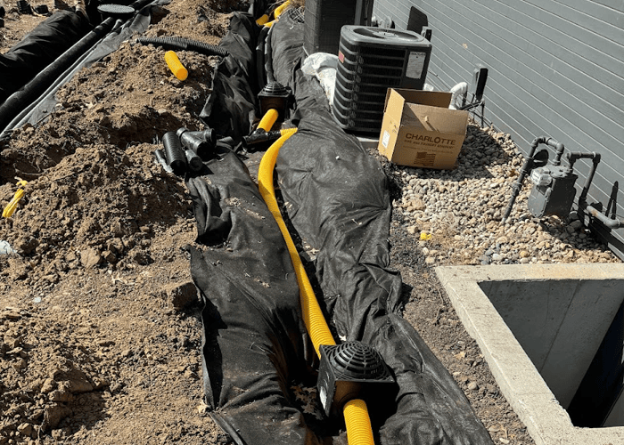 backup french drain