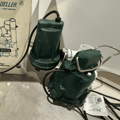 Sump pump and backup pump