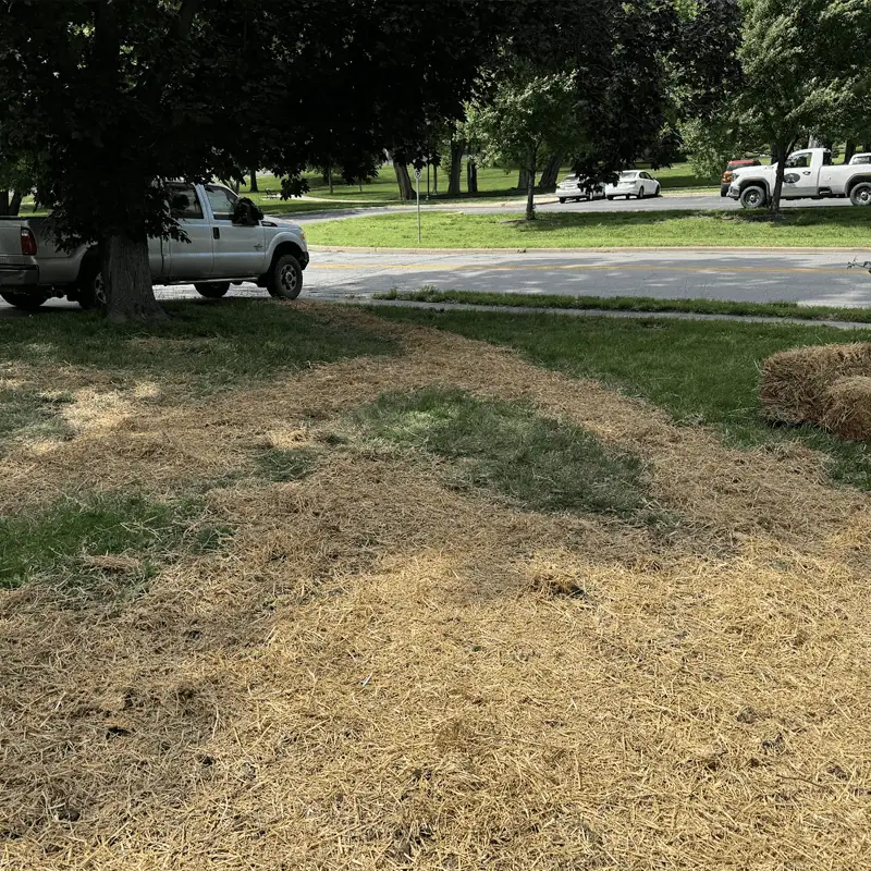 french drain mistake - not compacting trench