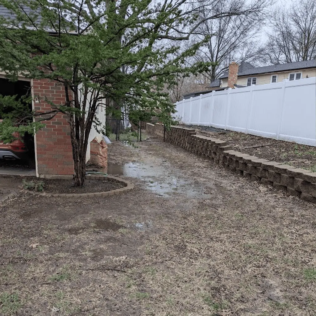 soggy yard near driveway