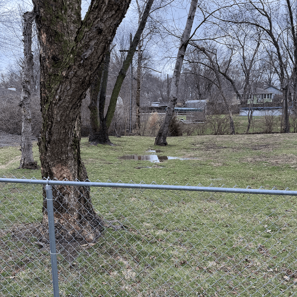 soggy yard over fence