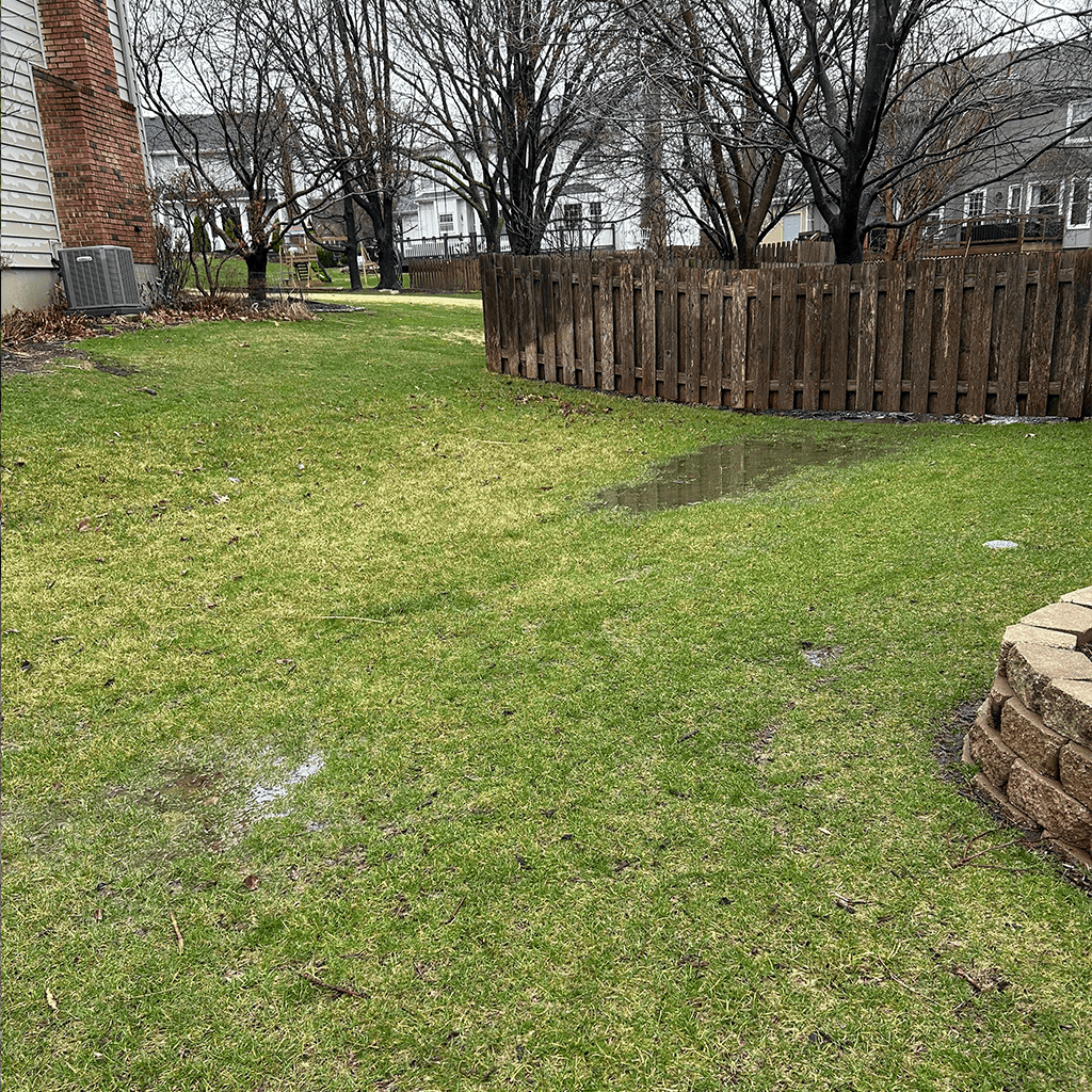wet yard in backyard