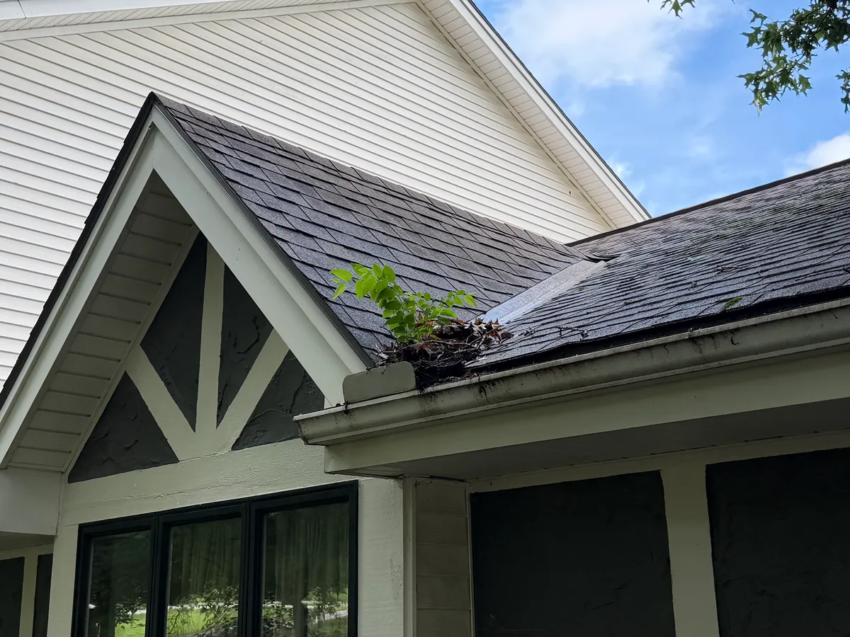 Blocked gutter above a covered porch, the point where overflow runs down the wall